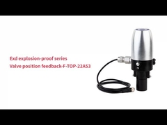 ตัวกำหนดตำแหน่ง